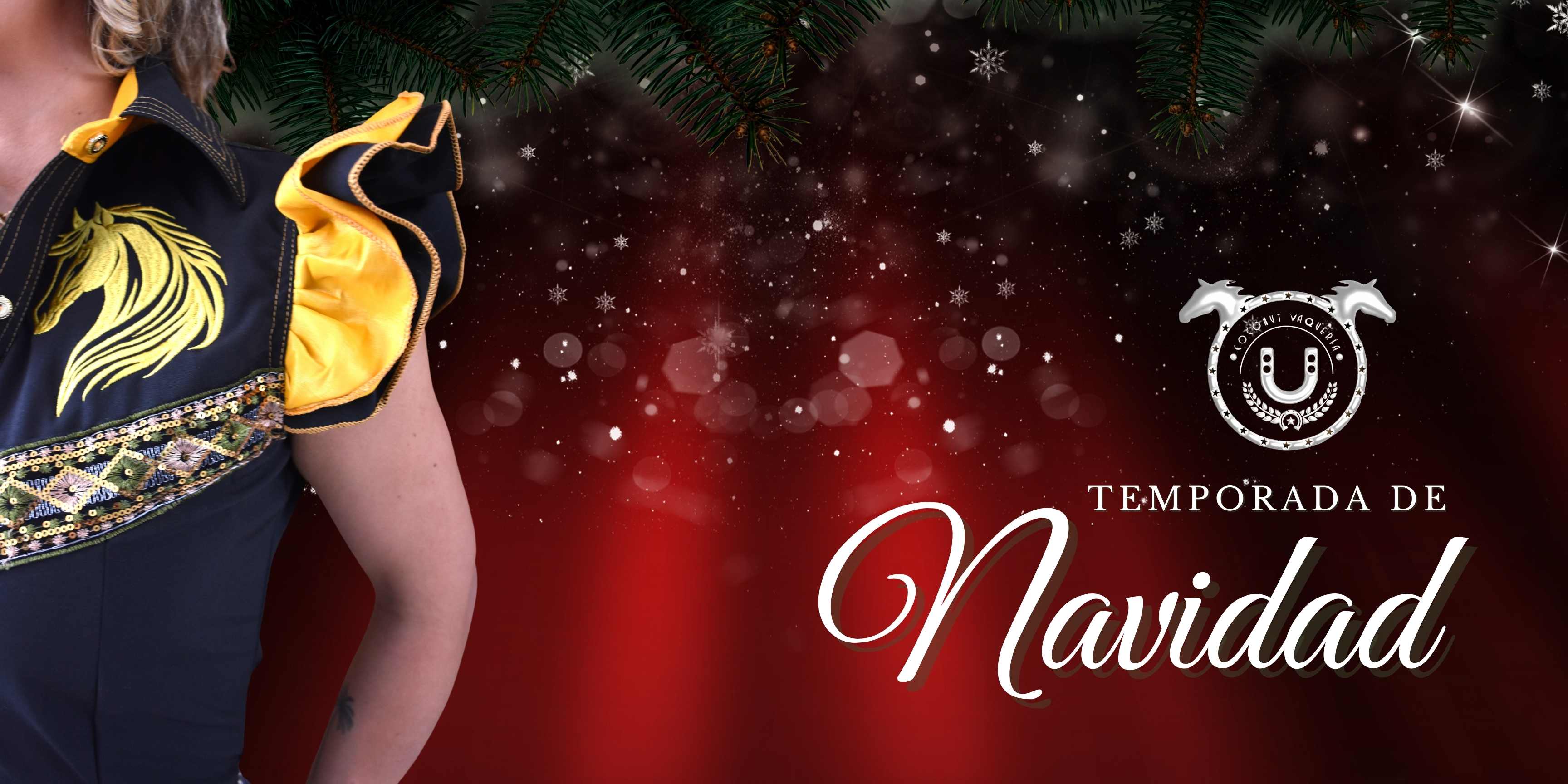 Temporada de Navidad