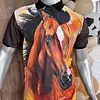 Polo Caballero 15